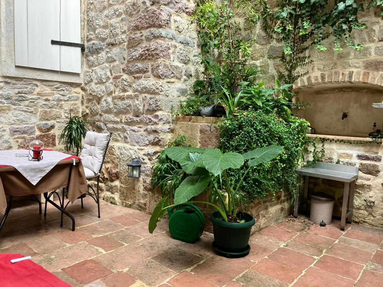Apartments Kotor Old Town المظهر الخارجي الصورة